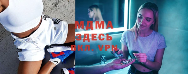 шишки Инсар