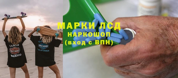 шишки Инсар