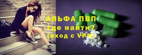 шишки Инсар