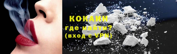 шишки Инсар