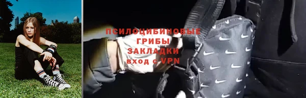 шишки Инсар