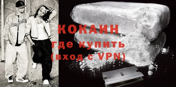 шишки Инсар