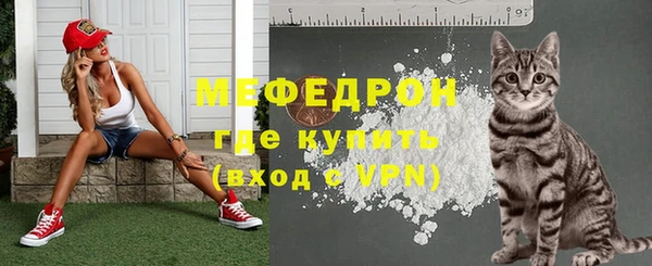 шишки Инсар