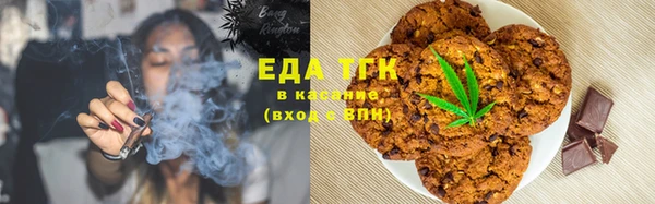 шишки Инсар