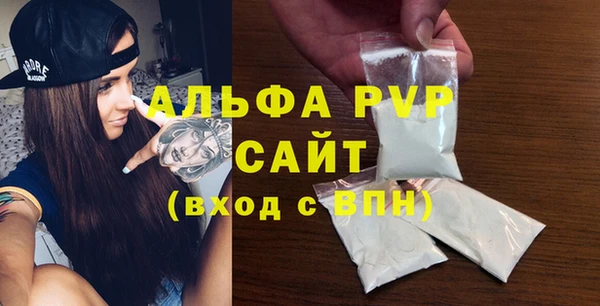 шишки Инсар