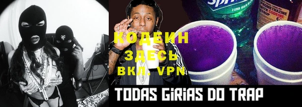 прущие крисы Инта