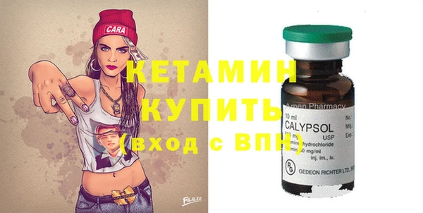 шишки Инсар