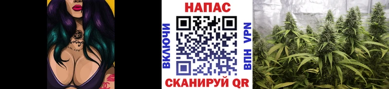 продажа наркотиков Нижневартовск Бошки марихуана тримм